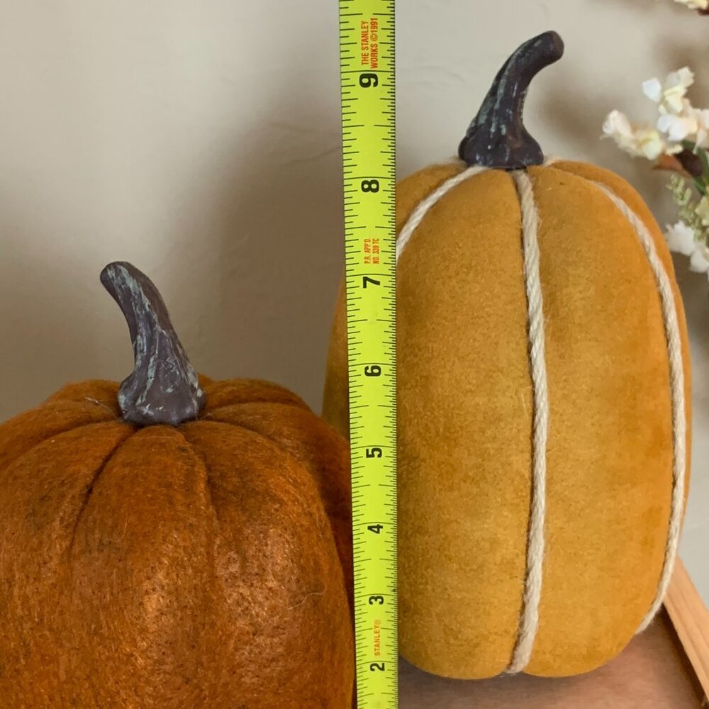 Fall/Thanksgiving Rustic Pumpkin Decor - Picture 2 of 8